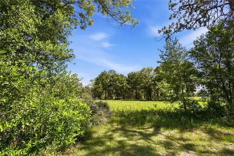 15191 NE 9th Street Williston FL 32696