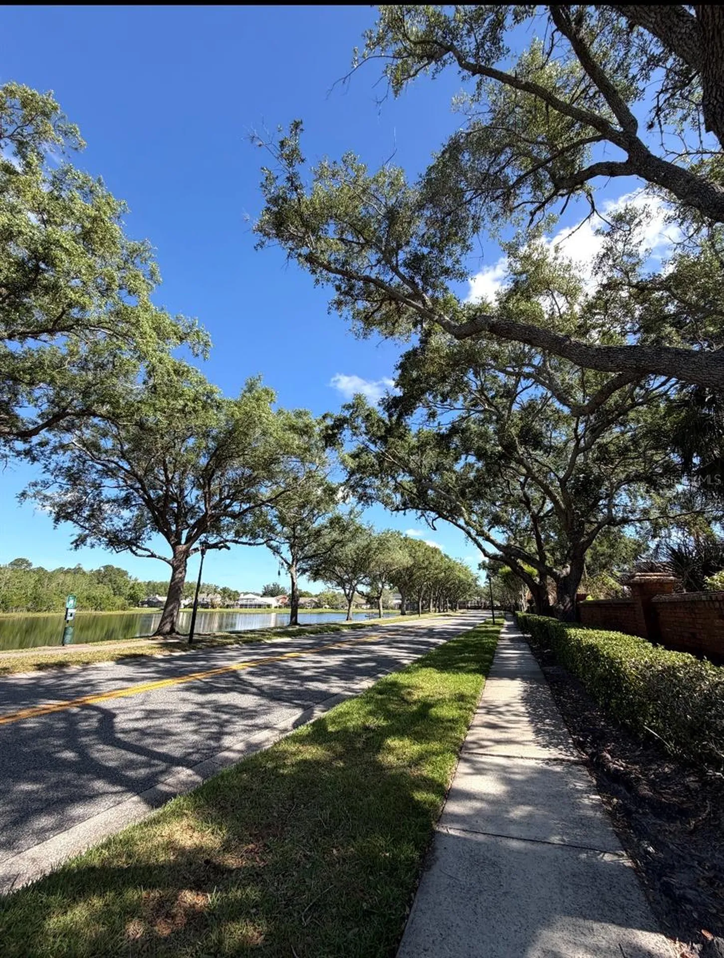 14569 Gainesborough Drive Orlando FL 32826