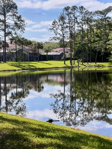 14569 Gainesborough Drive Orlando FL 32826