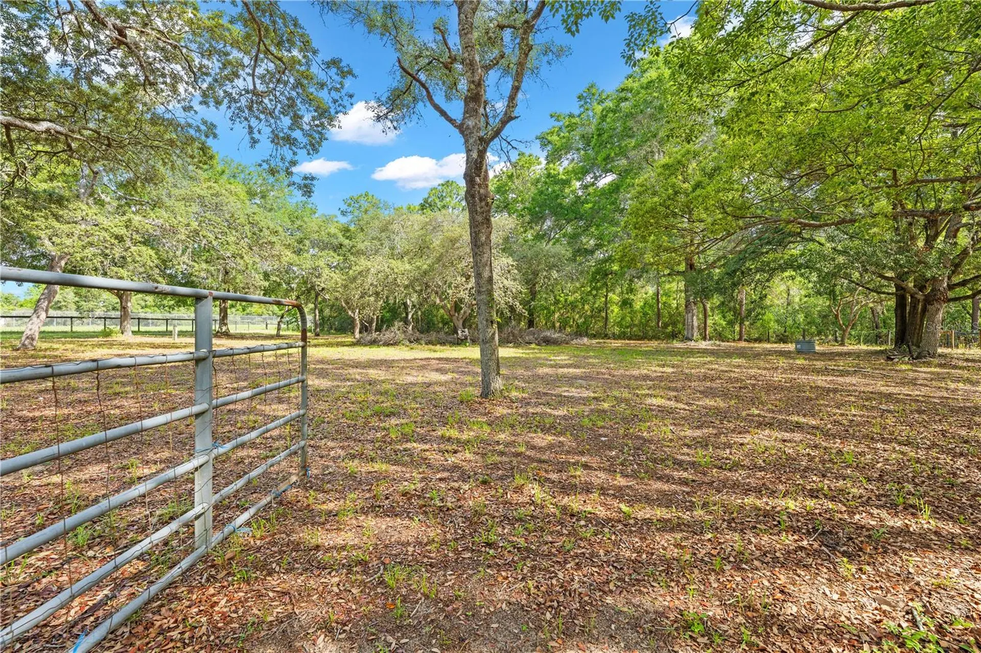 8378 Grove Road Brooksville FL 34613