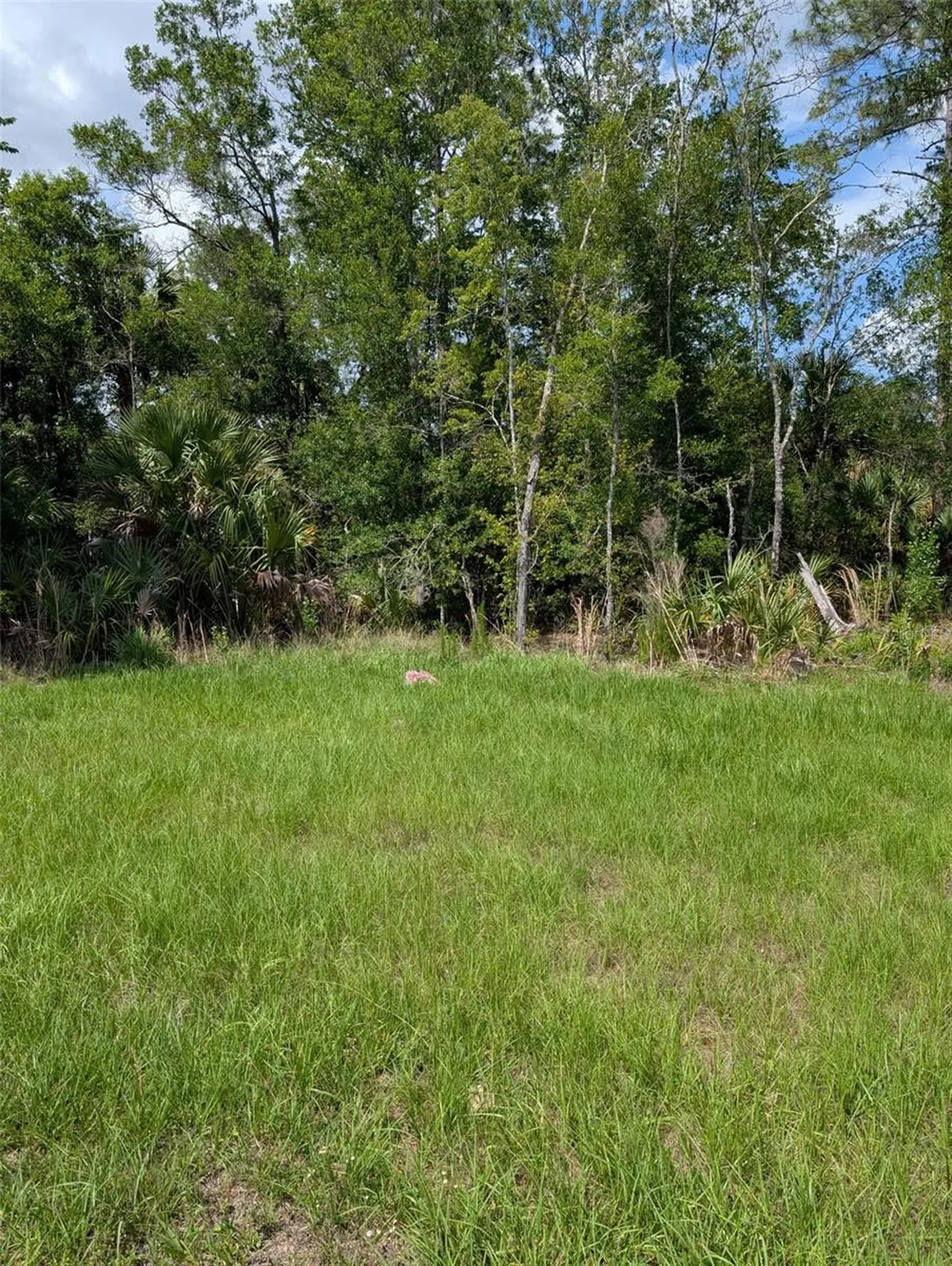 5251 N Us Hwy 19 Highway Crystal River FL 34428