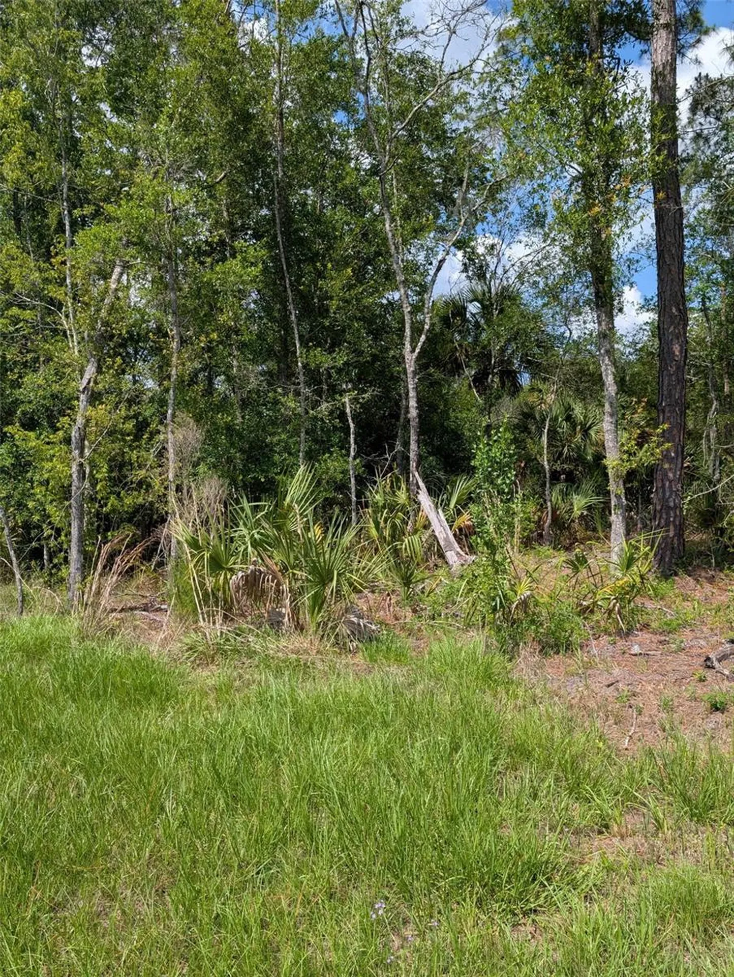 5251 N Us Hwy 19 Highway Crystal River FL 34428