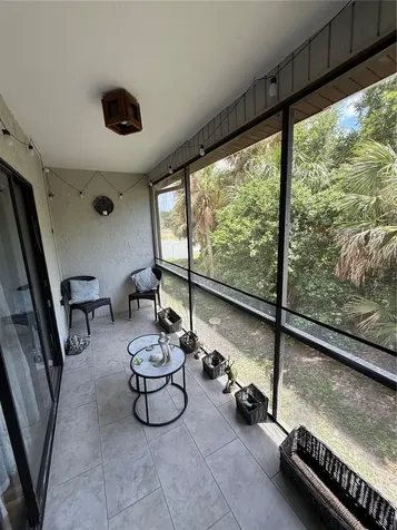 7015 Cognac Drive New Port Richey FL 34653