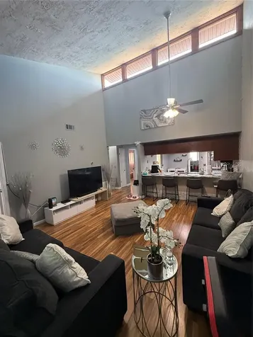 7015 Cognac Drive New Port Richey FL 34653