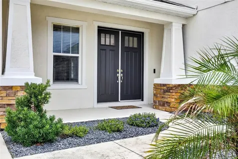 6967 Talamore Drive Wesley Chapel FL 33545