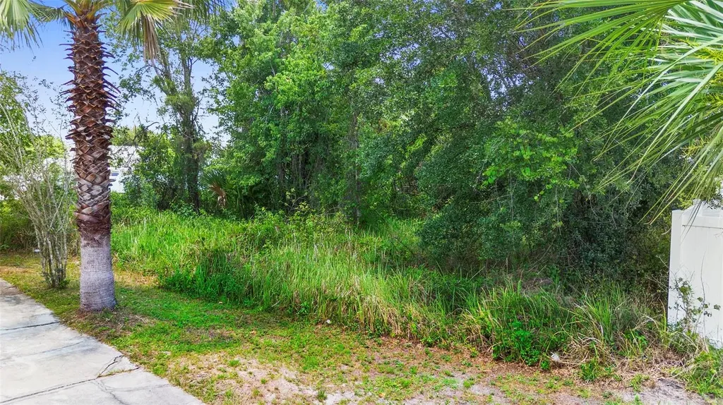Dove Drive Poinciana FL 34759