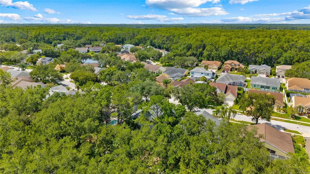 4287 Tremblay Way Palm Harbor FL 34685