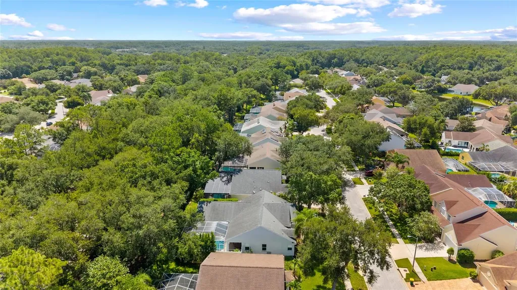 4287 Tremblay Way Palm Harbor FL 34685