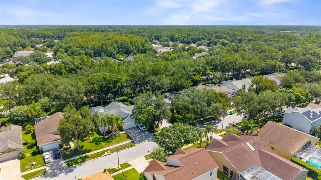 4287 Tremblay Way Palm Harbor FL 34685