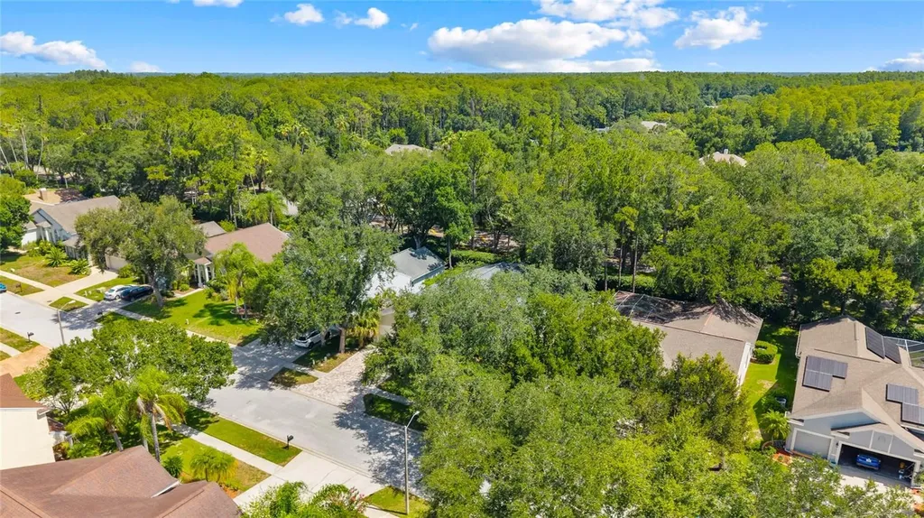 4287 Tremblay Way Palm Harbor FL 34685