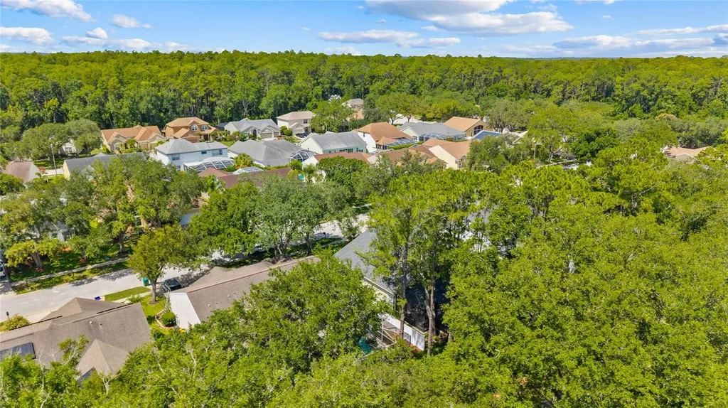 4287 Tremblay Way Palm Harbor FL 34685