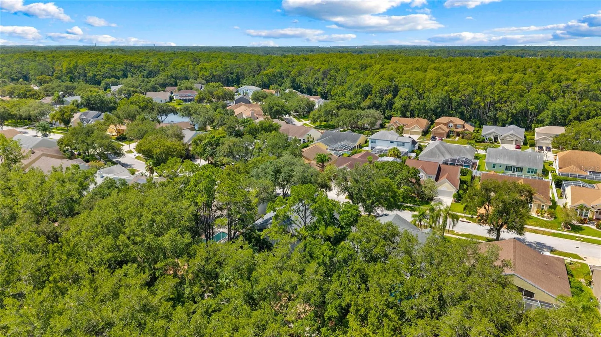 4287 Tremblay Way Palm Harbor FL 34685