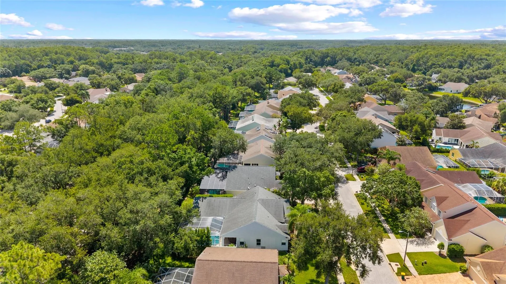 4287 Tremblay Way Palm Harbor FL 34685