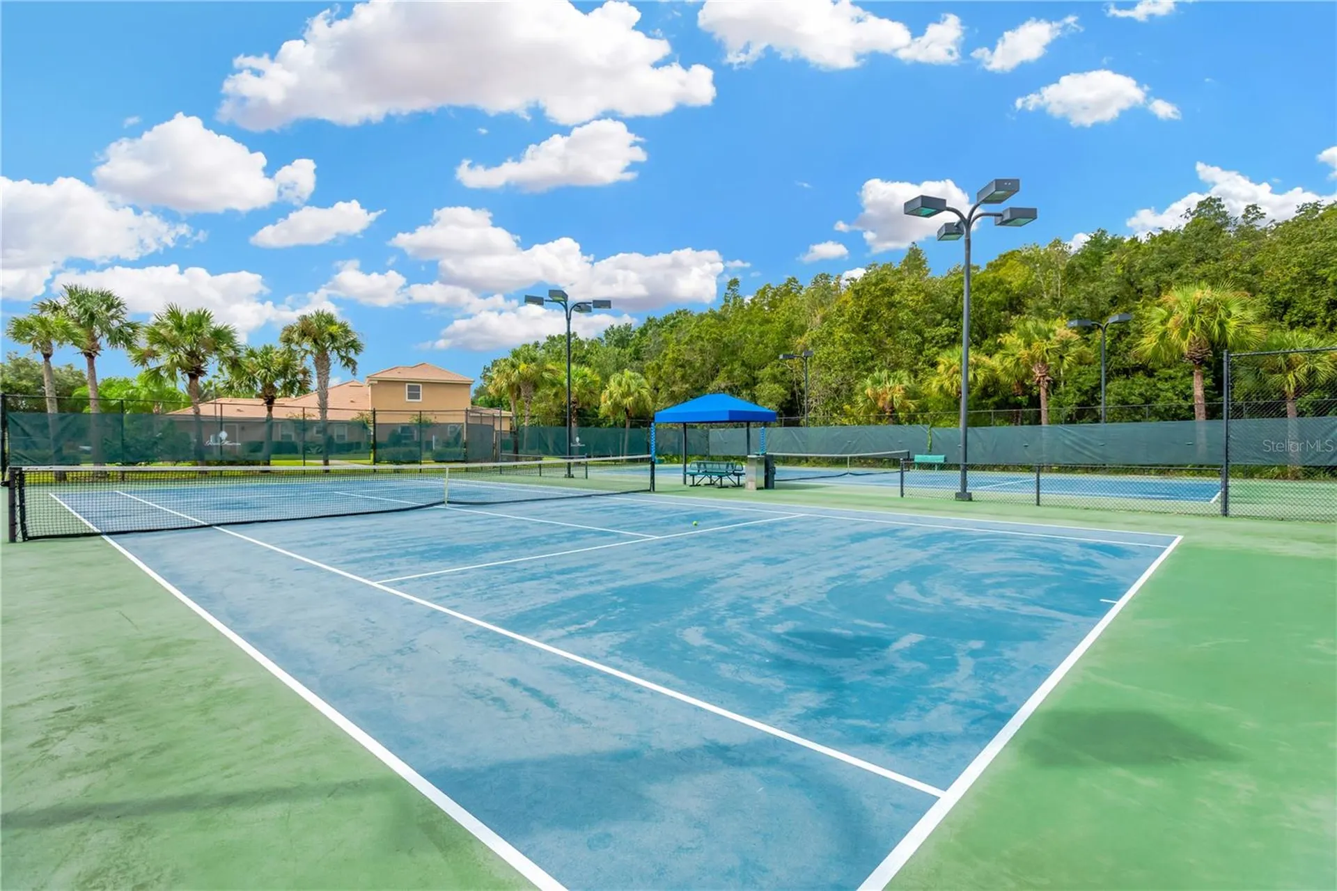 8307 Manor Club Circle Tampa FL 33647