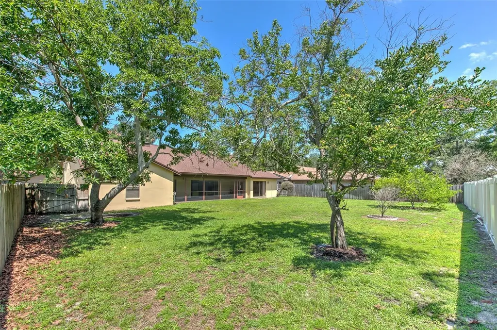 1704 Cape Bend Avenue Tampa FL 33613