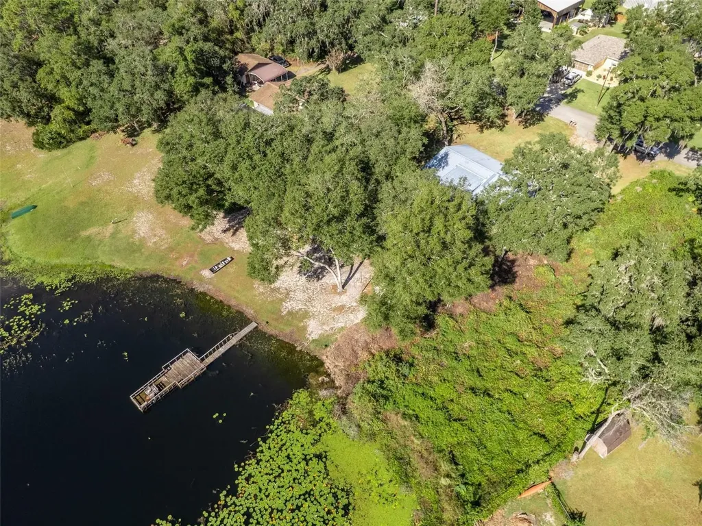 16684 SE 54th Street Ocklawaha FL 32179