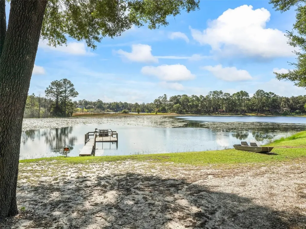 16684 SE 54th Street Ocklawaha FL 32179