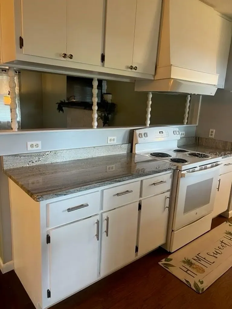 16684 SE 54th Street Ocklawaha FL 32179
