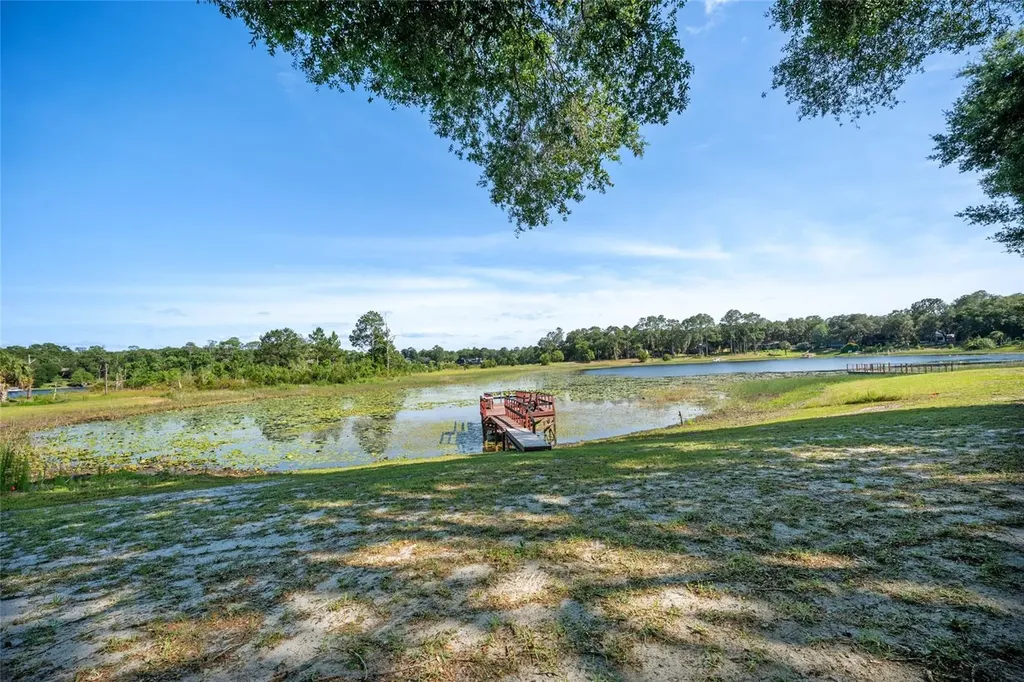 16684 SE 54th Street Ocklawaha FL 32179