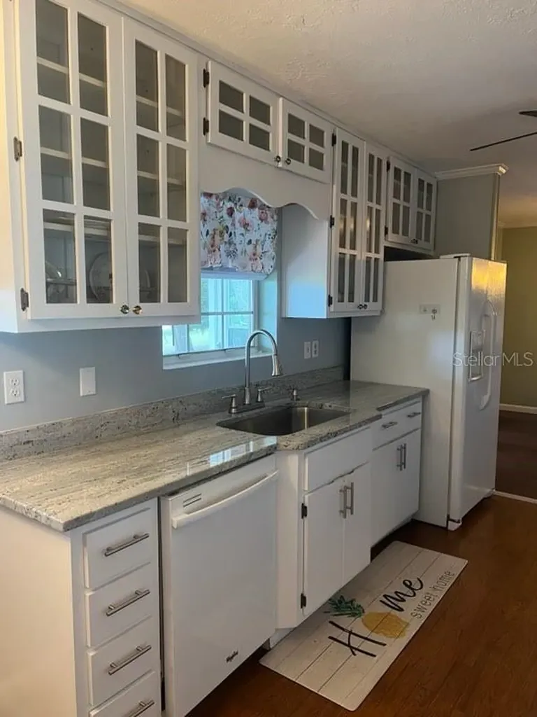 16684 SE 54th Street Ocklawaha FL 32179