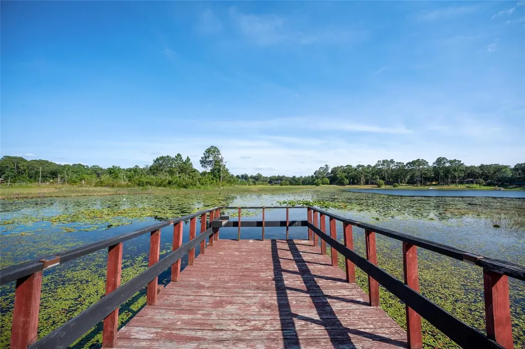 16684 SE 54th Street Ocklawaha FL 32179