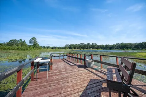 16684 SE 54th Street Ocklawaha FL 32179