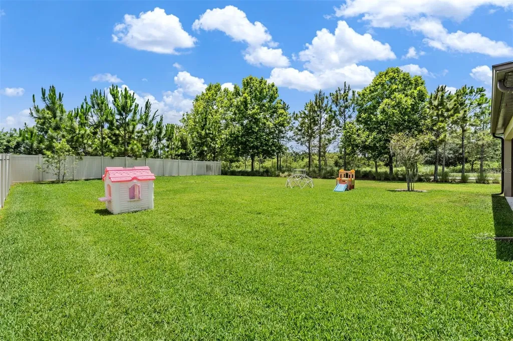 12316 Fitzroy Street Odessa FL 33556