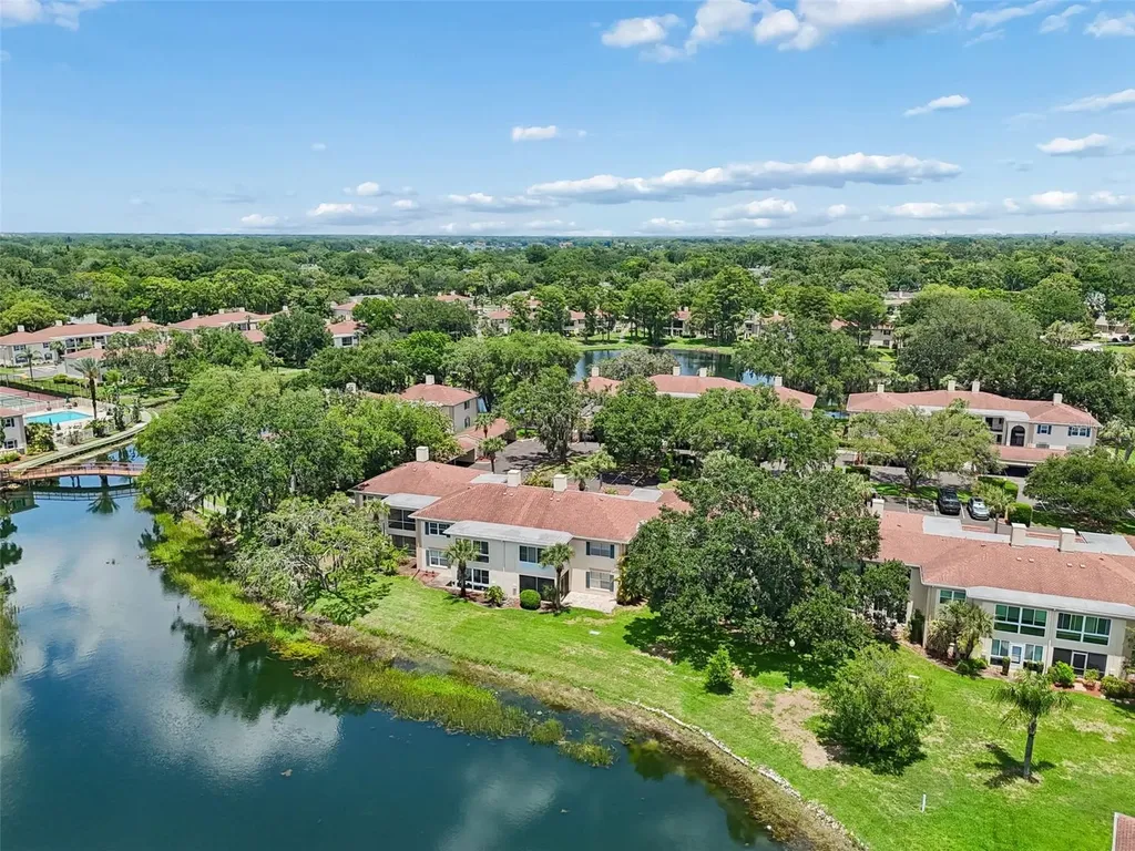10344 Carrollwood Lane Tampa FL 33618