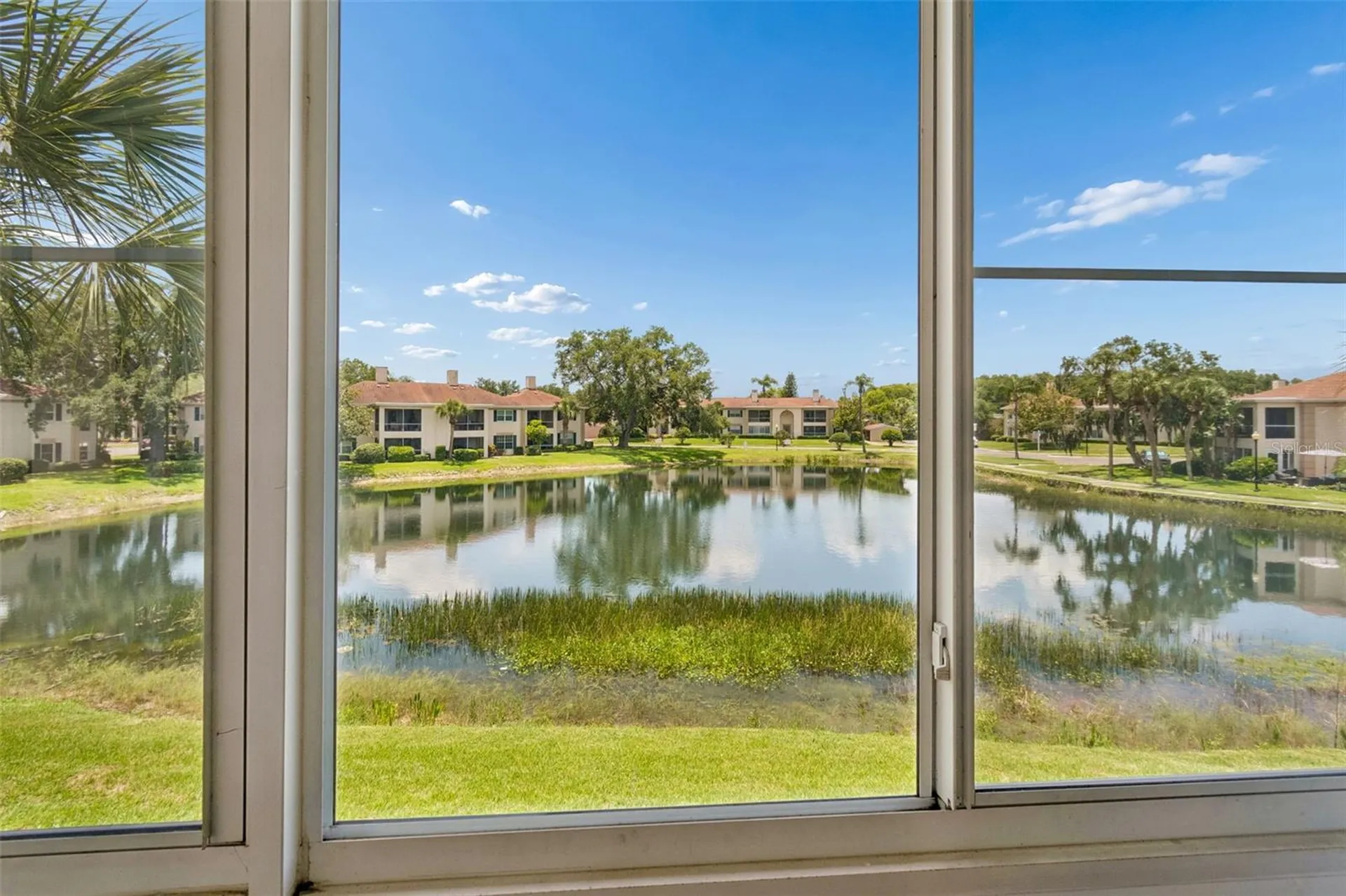 10344 Carrollwood Lane Tampa FL 33618