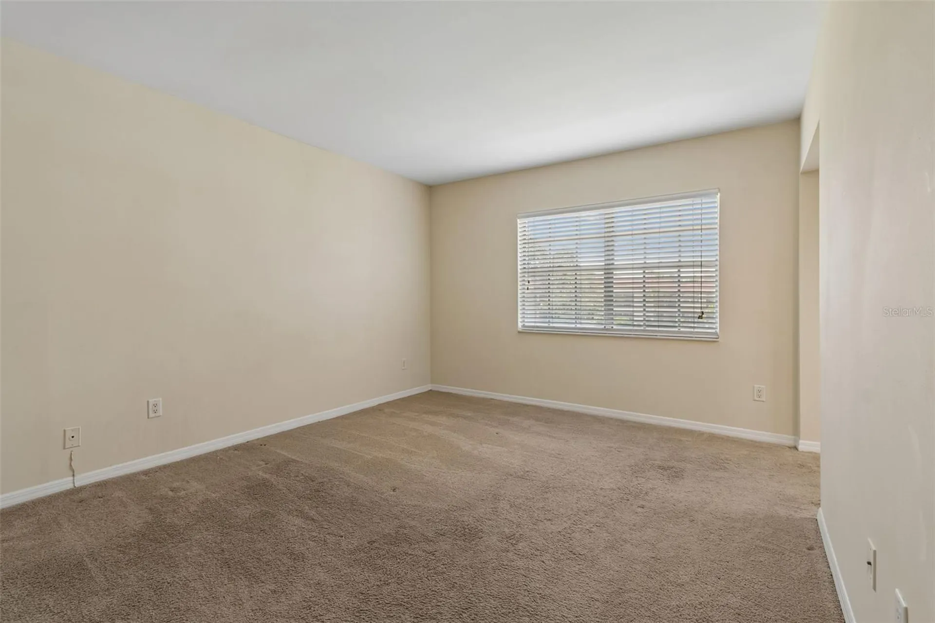 10344 Carrollwood Lane Tampa FL 33618