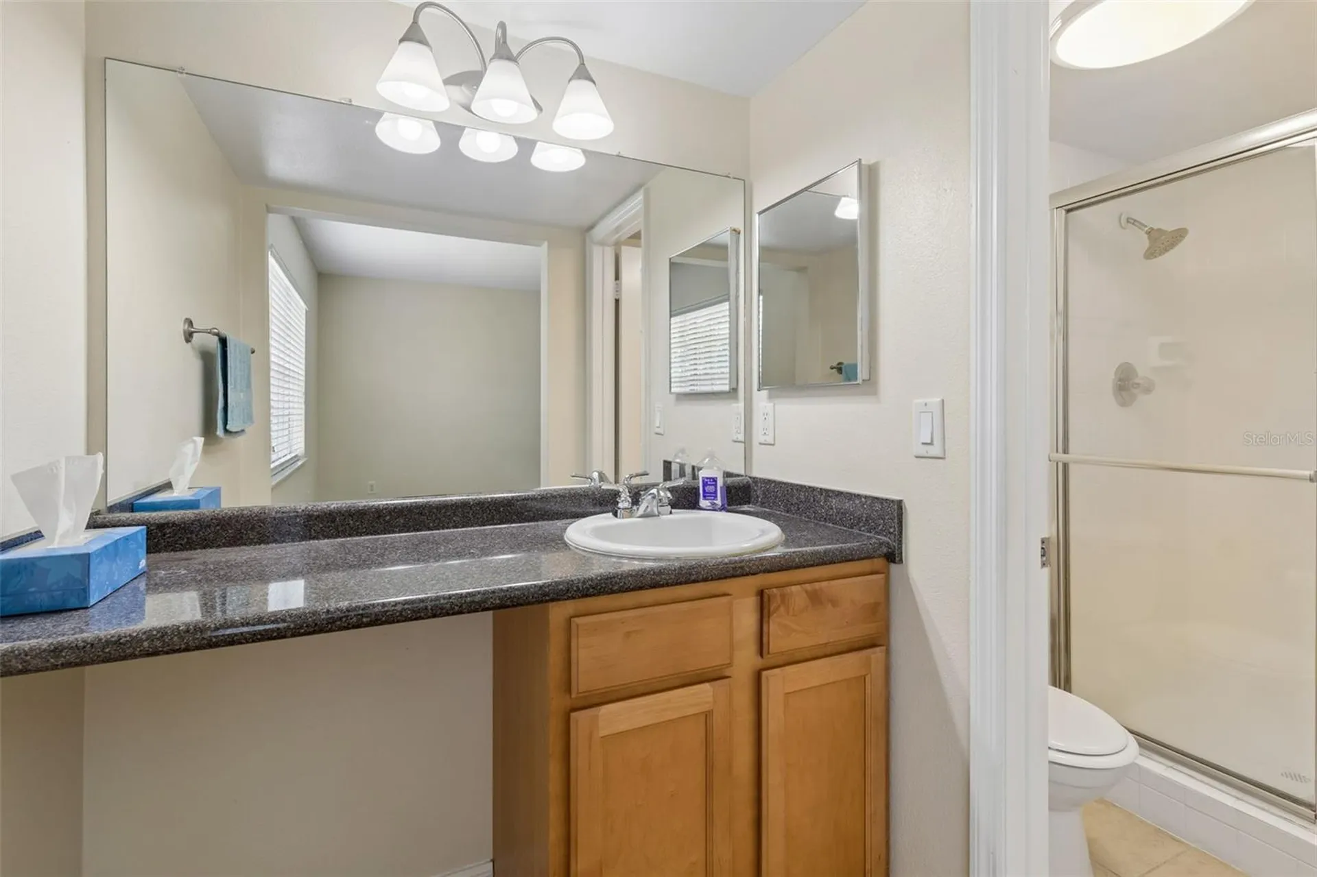 10344 Carrollwood Lane Tampa FL 33618