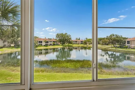 10344 Carrollwood Lane Tampa FL 33618