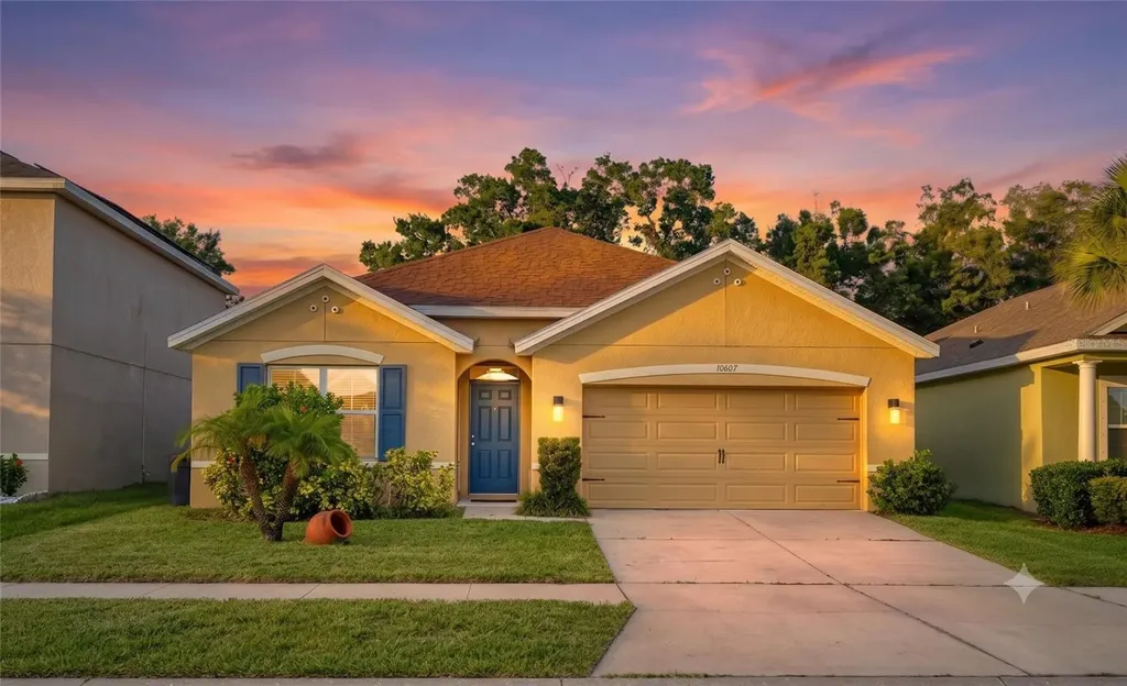 10607 Park Meadowbrooke Drive Riverview FL 33578
