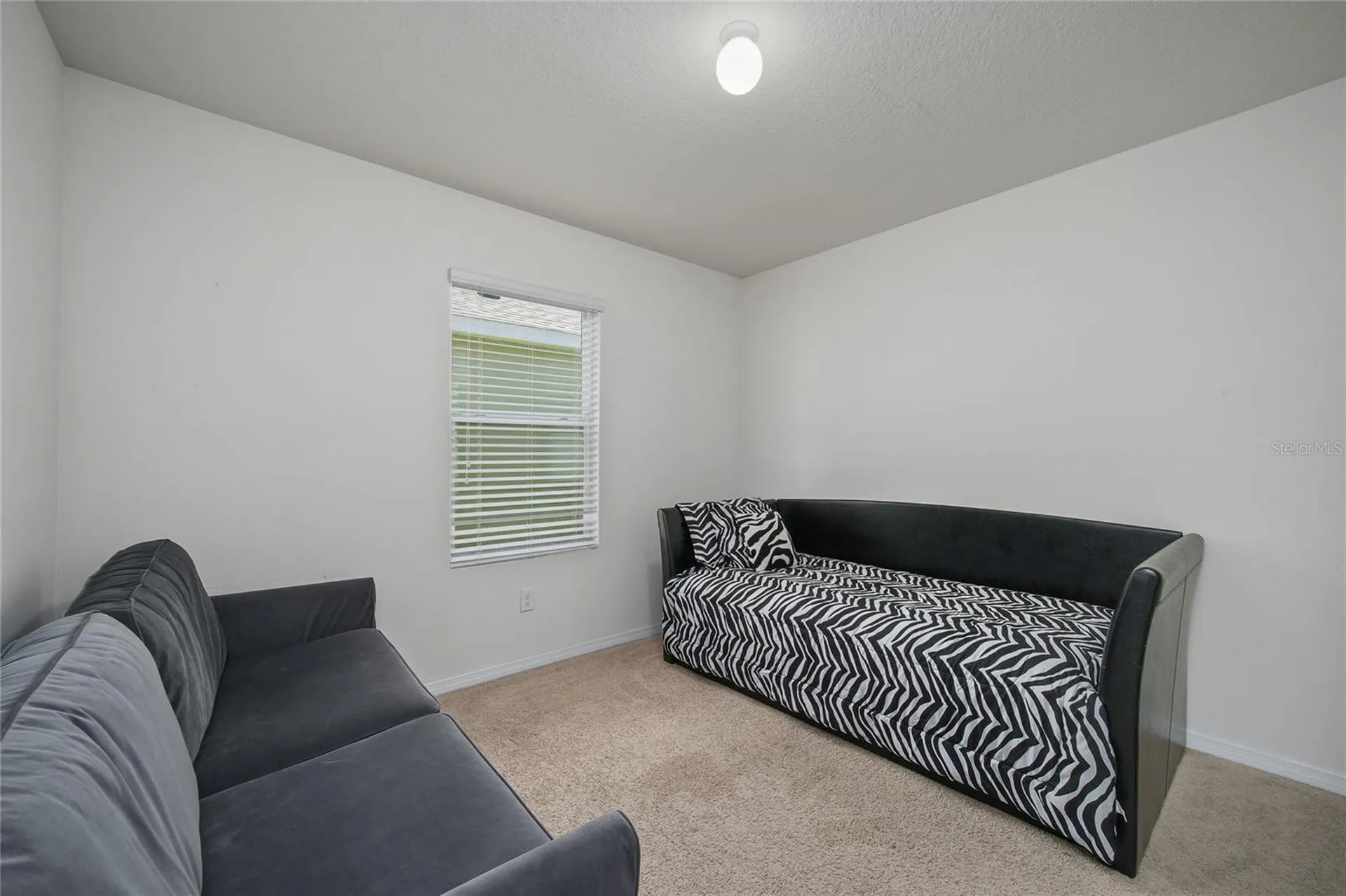 10607 Park Meadowbrooke Drive Riverview FL 33578