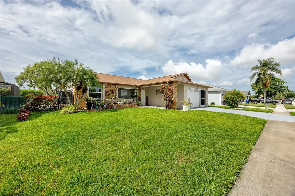 8220 Tarsier Avenue New Port Richey FL 34653