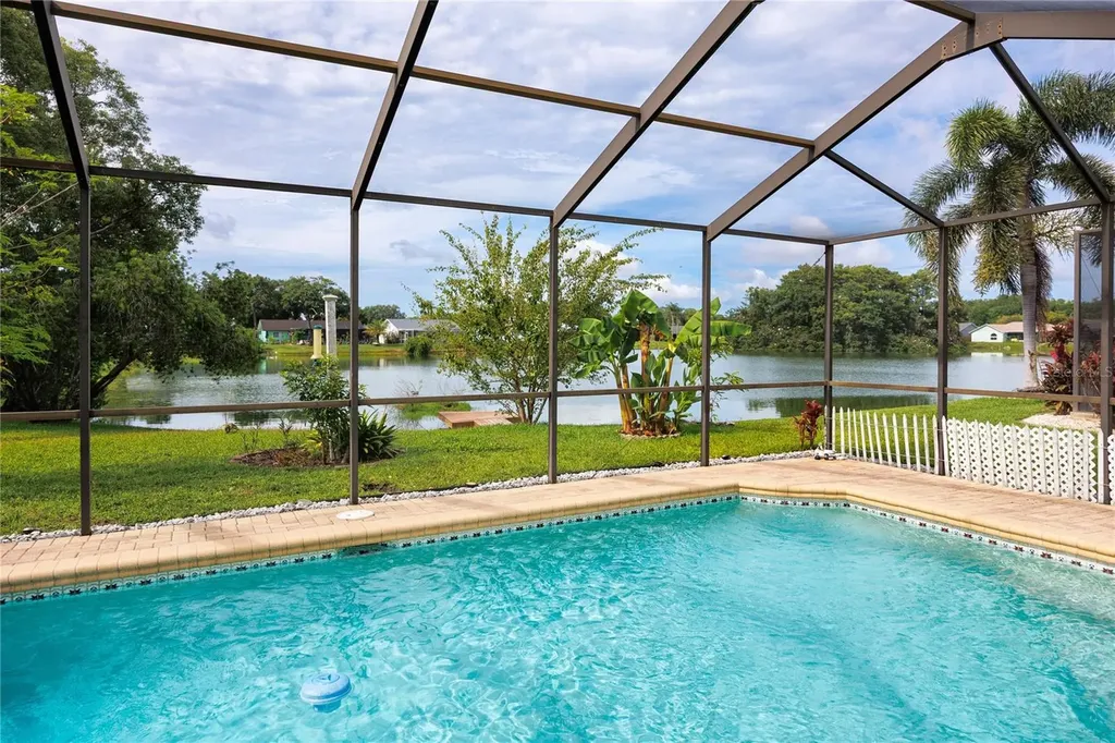 8220 Tarsier Avenue New Port Richey FL 34653