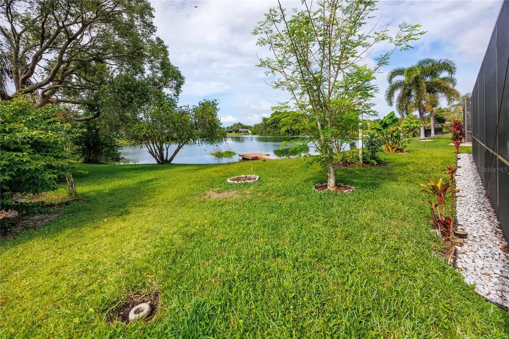 8220 Tarsier Avenue New Port Richey FL 34653