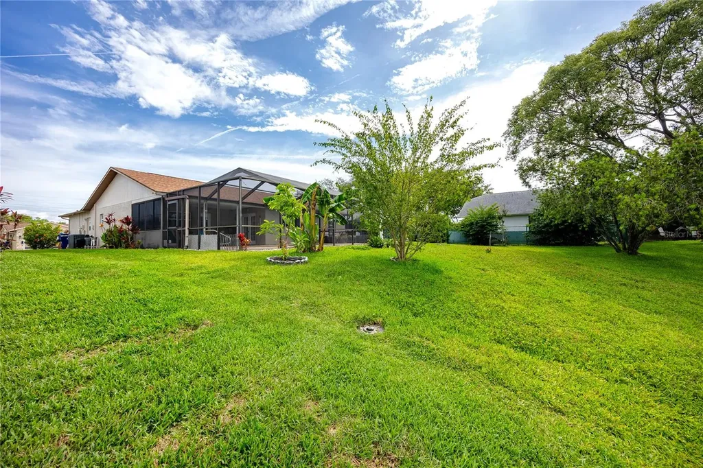 8220 Tarsier Avenue New Port Richey FL 34653