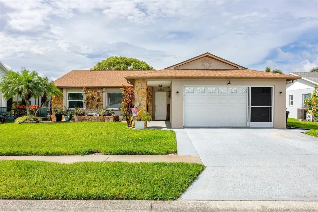 8220 Tarsier Avenue New Port Richey FL 34653