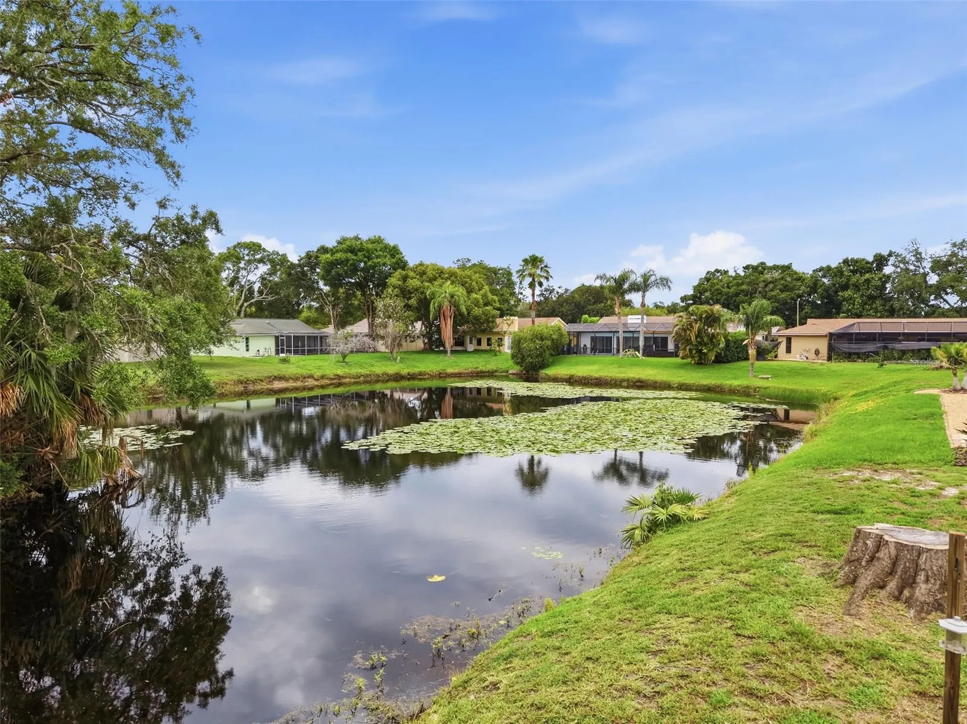 3341 Player Drive New Port Richey FL 34655
