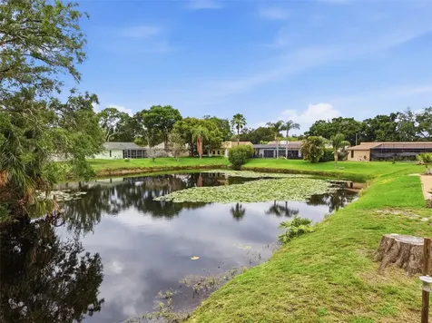 3341 Player Drive New Port Richey FL 34655