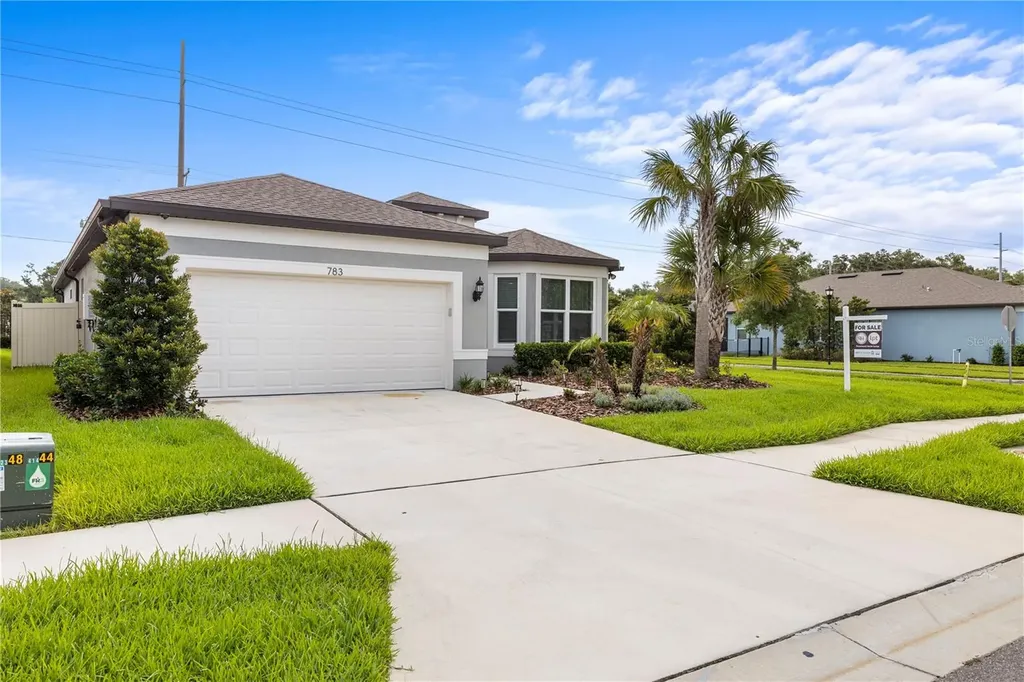 783 Little Cloud Place Valrico FL 33594
