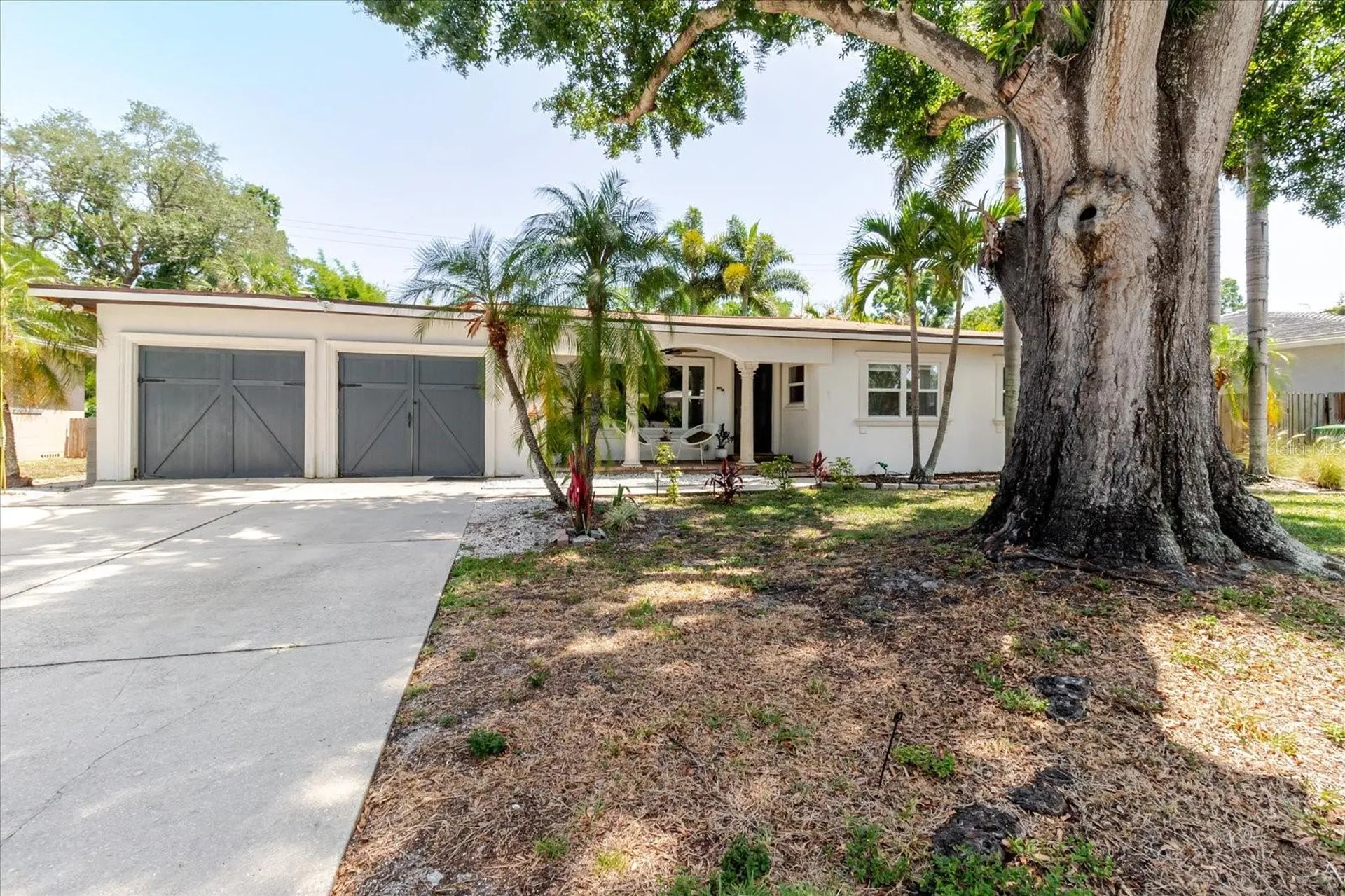 3138 W Euclid Avenue Tampa FL 33629