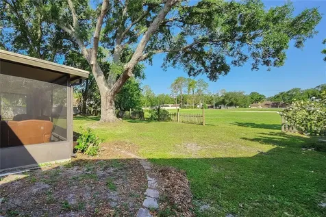 16169 Gardendale Drive Tampa FL 33624
