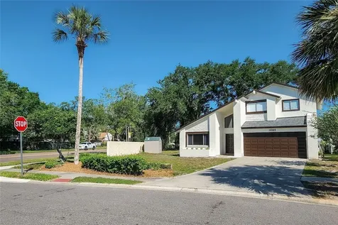 16169 Gardendale Drive Tampa FL 33624