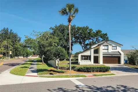16169 Gardendale Drive Tampa FL 33624
