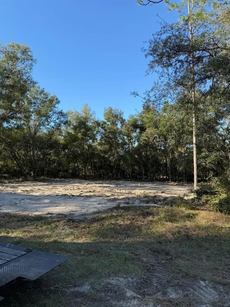 13831 SW 89th Circle Ocala FL 34473