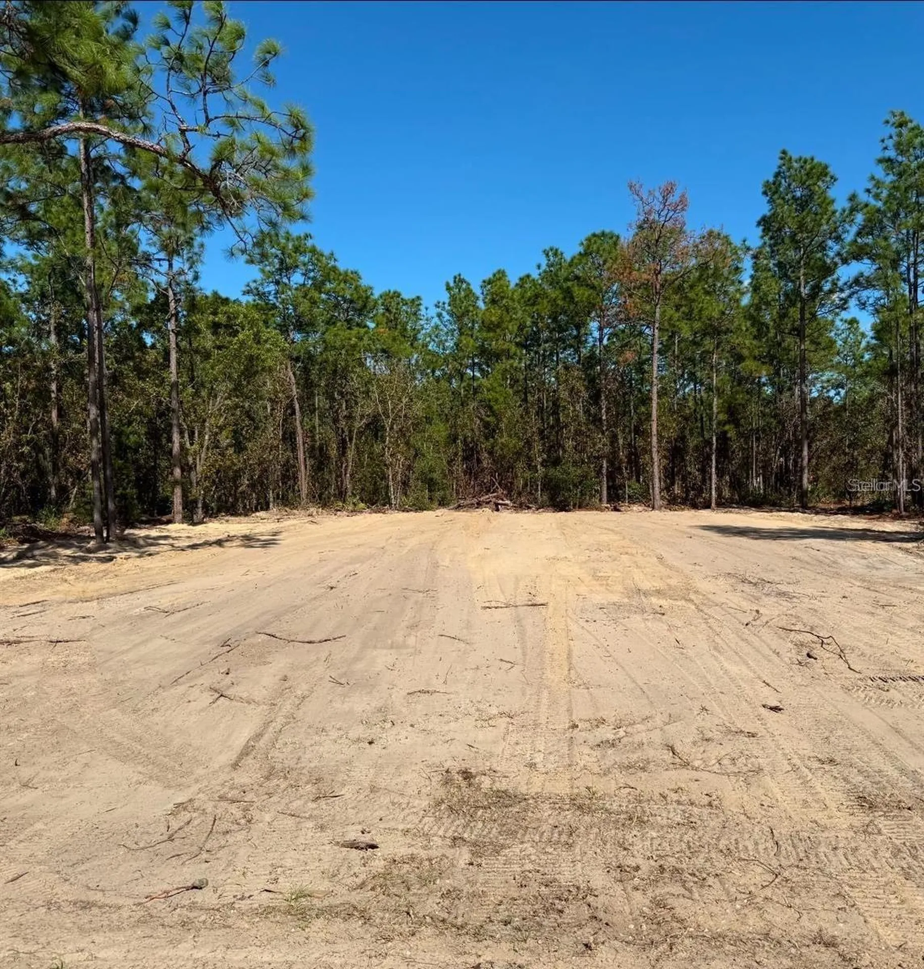 13831 SW 89th Circle Ocala FL 34473