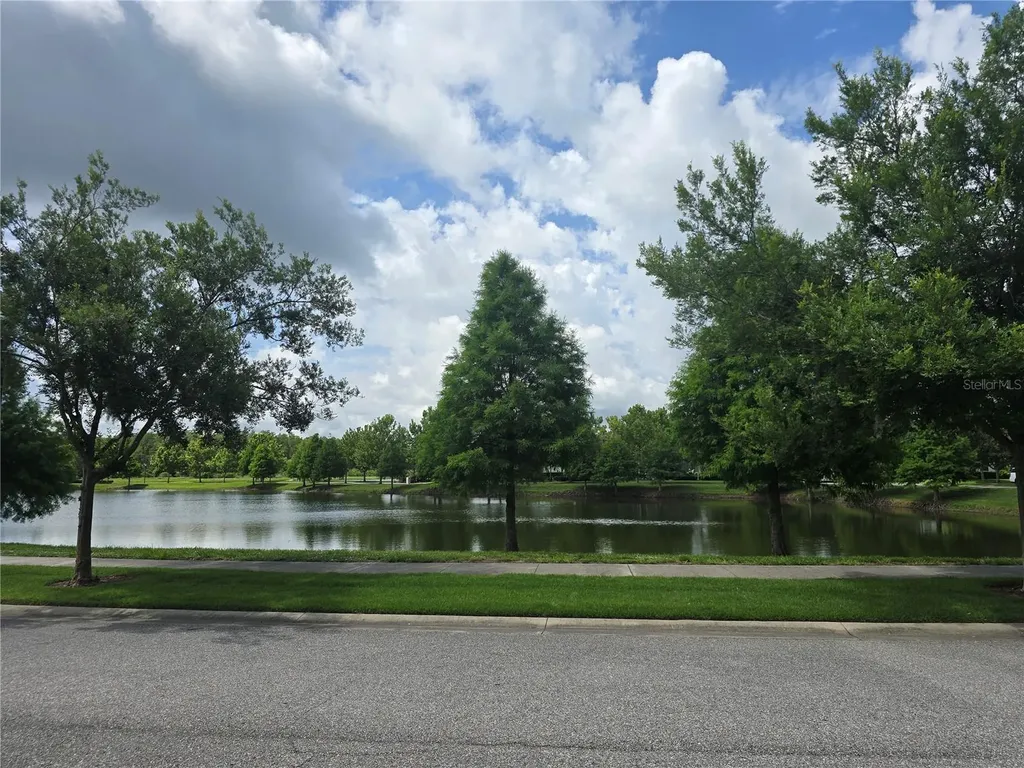 13023 Batten Lane Odessa FL 33556