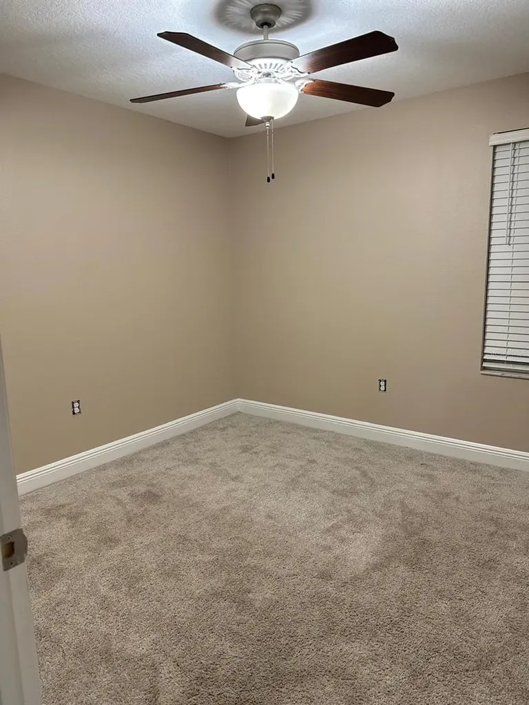 13023 Batten Lane Odessa FL 33556
